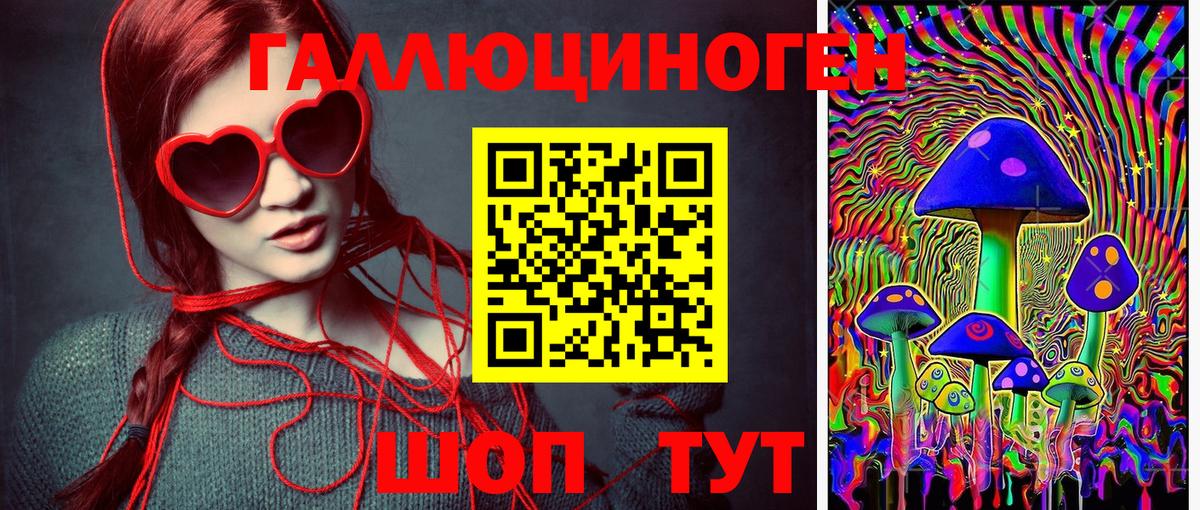 Железногорск  где найти наркотики  Вход с VPN  Галлюциногенные грибы GOLDEN TEACHER 