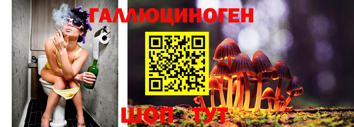 Галлюциногенные грибы Magic Shrooms Железногорск